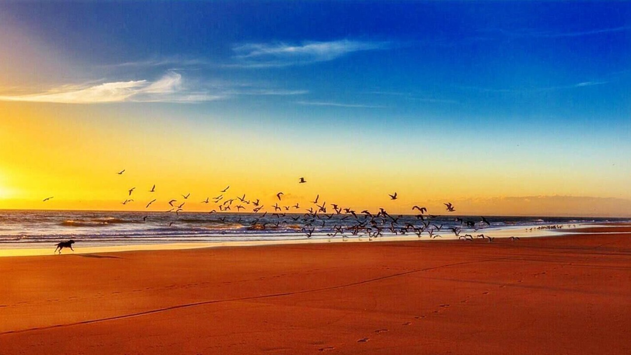 Photo of Others in Mablethorpe and Sutton