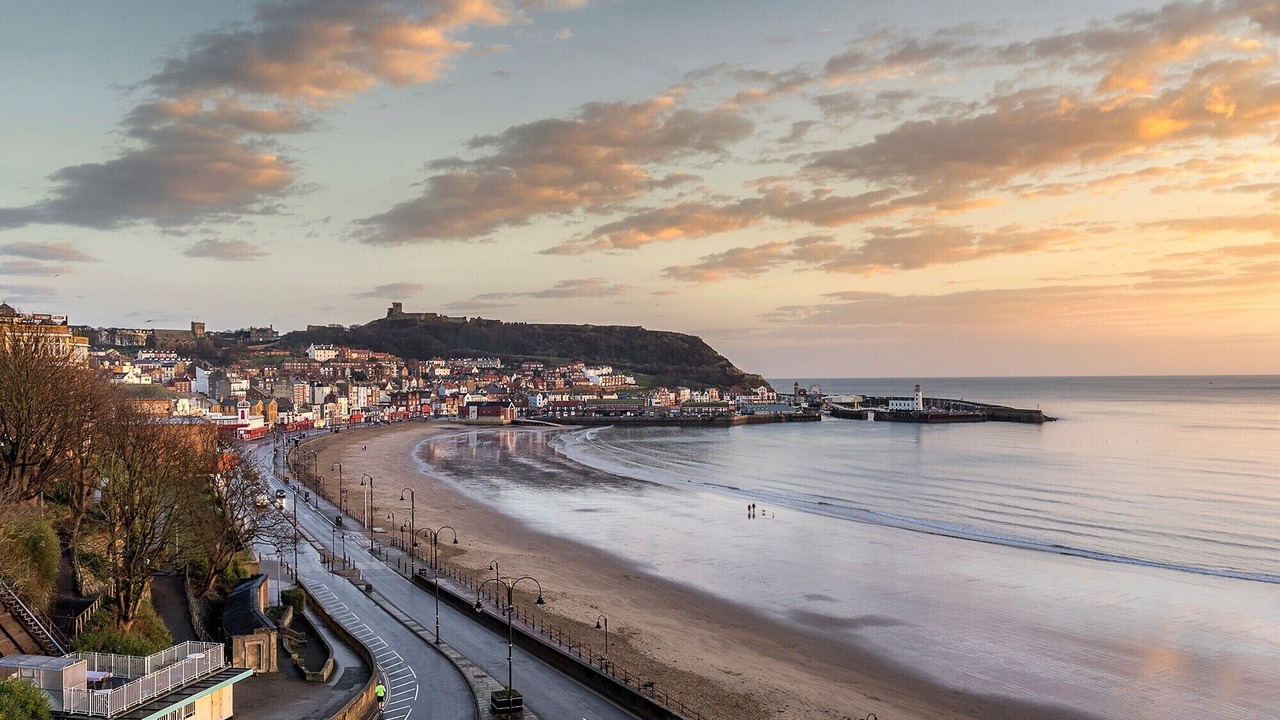 Photo of Others in Scarborough