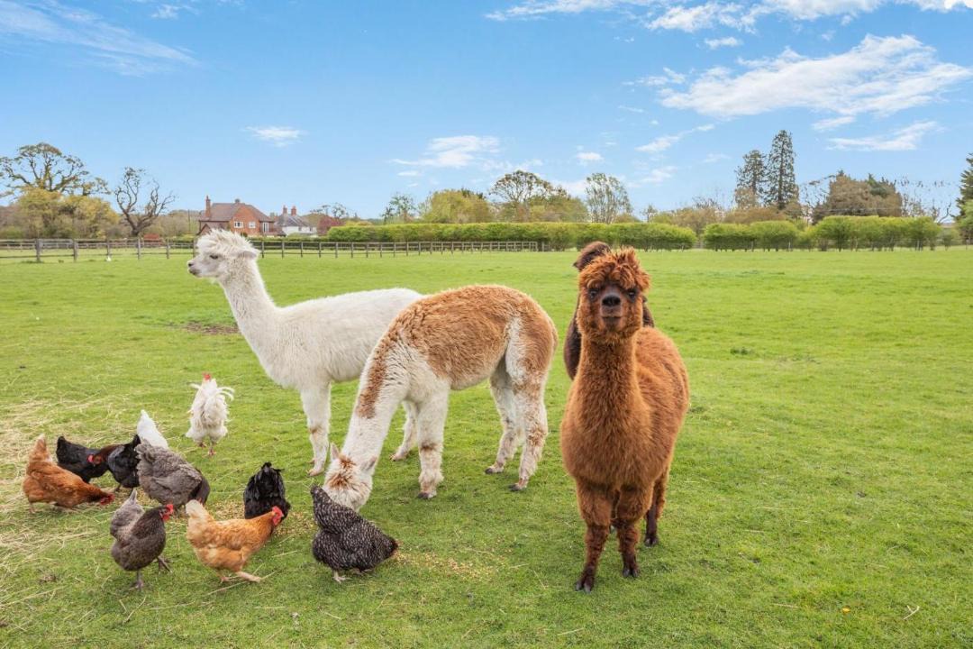 Photo of Others in Little Stukeley
