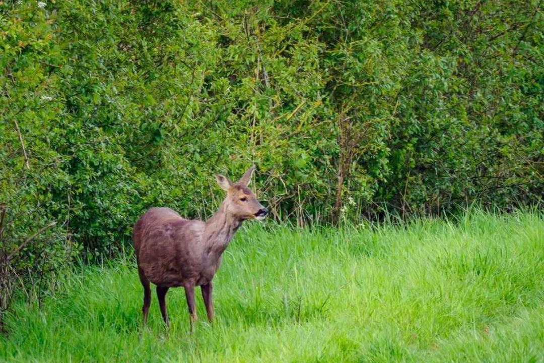 Photo of Others in Alford