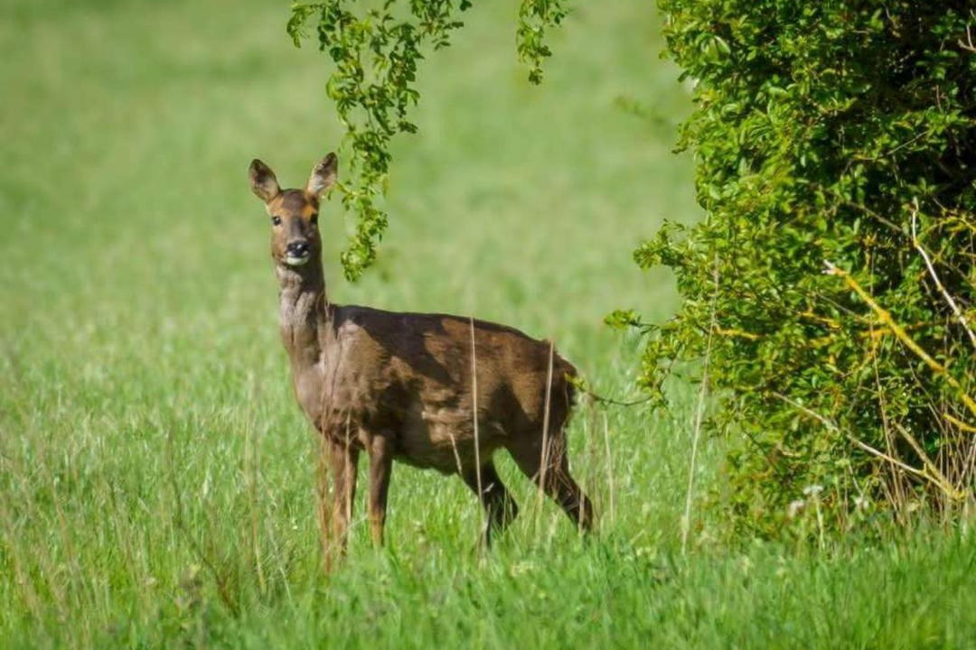 Photo of Others in Alford