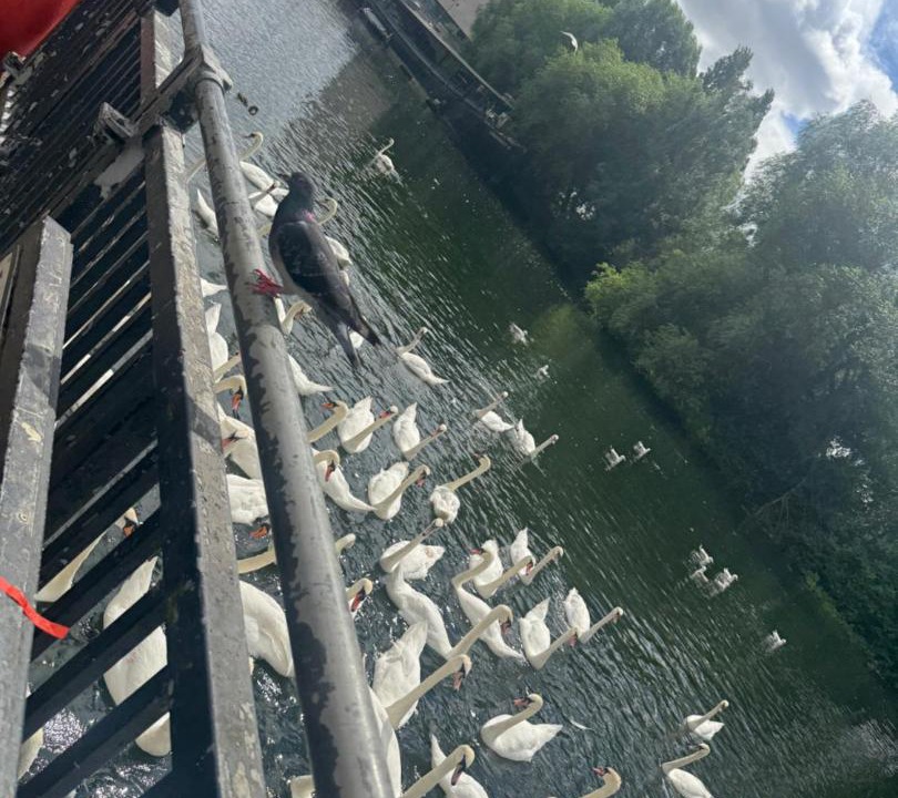 Photo of Others in Peterborough