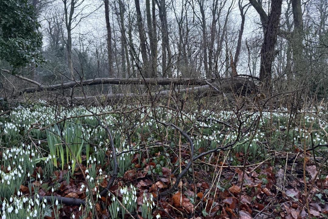 Photo of Others in East Ravendale