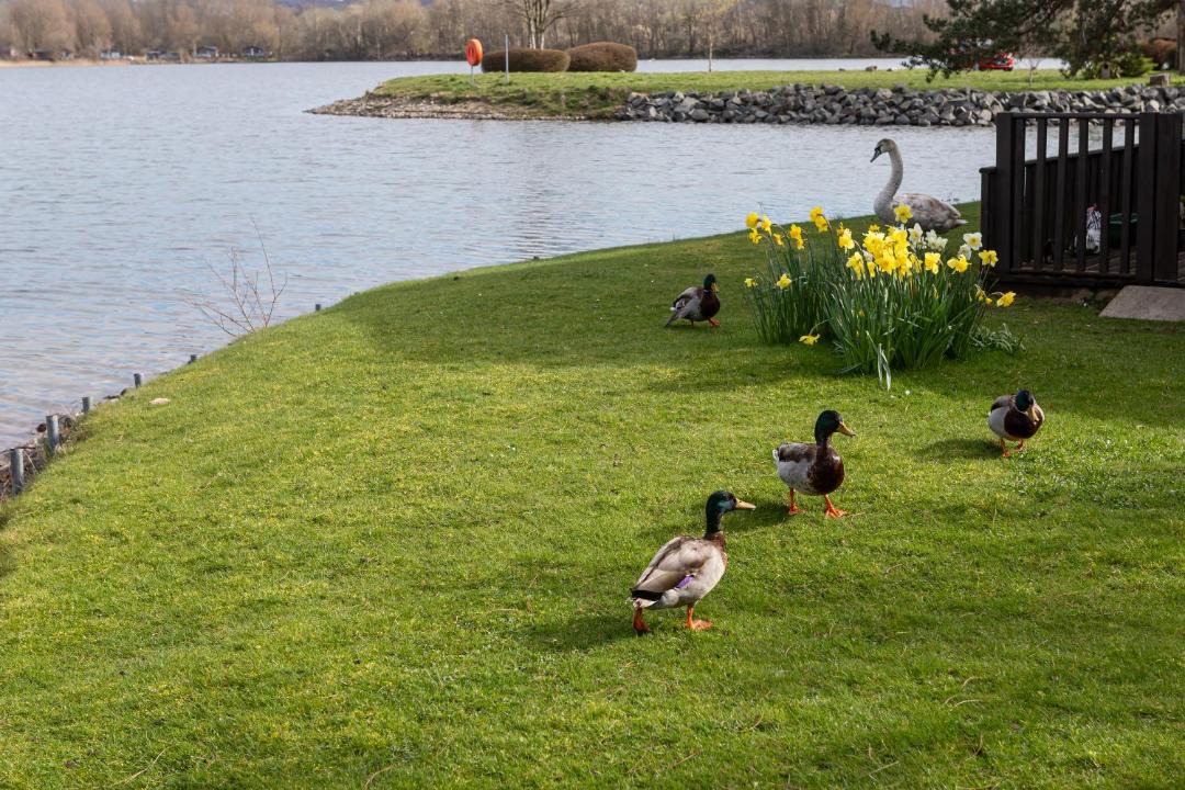 Photo of Others in Carnforth