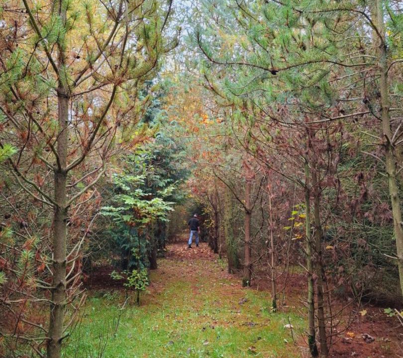 Photo of Others in Barnetby