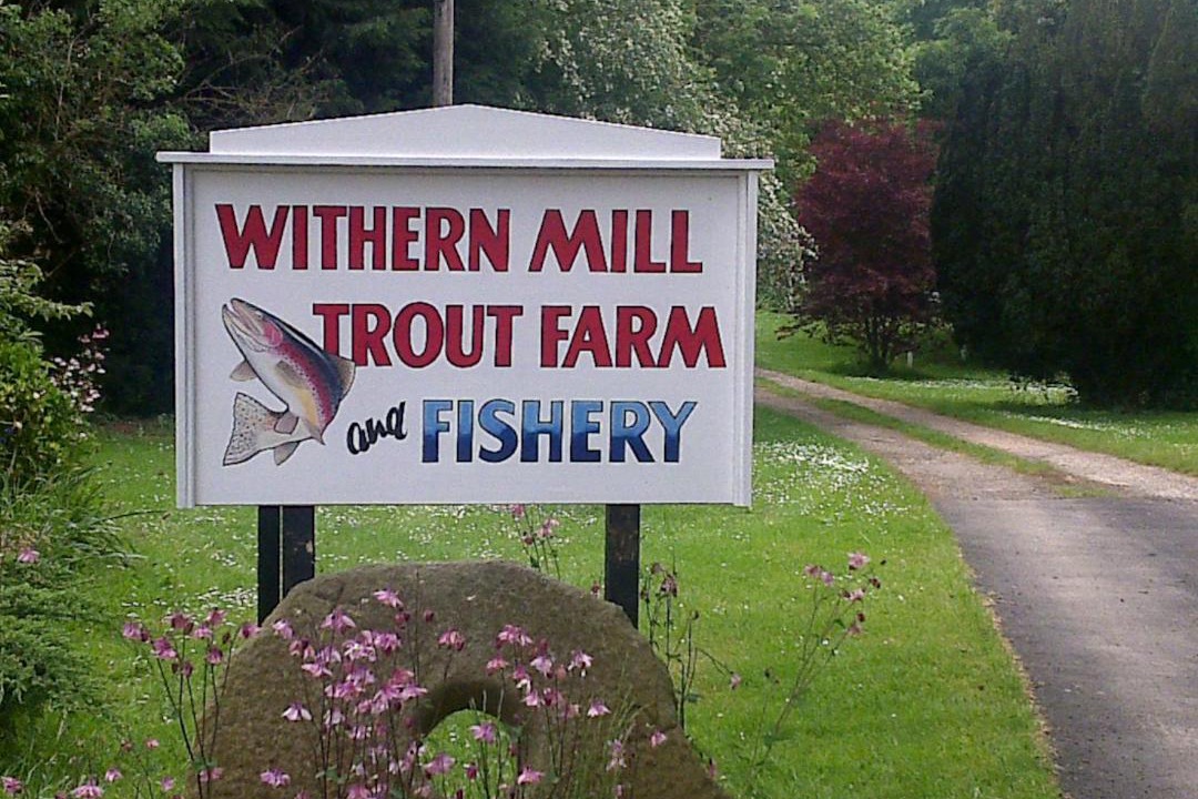 Photo of Others in Alford