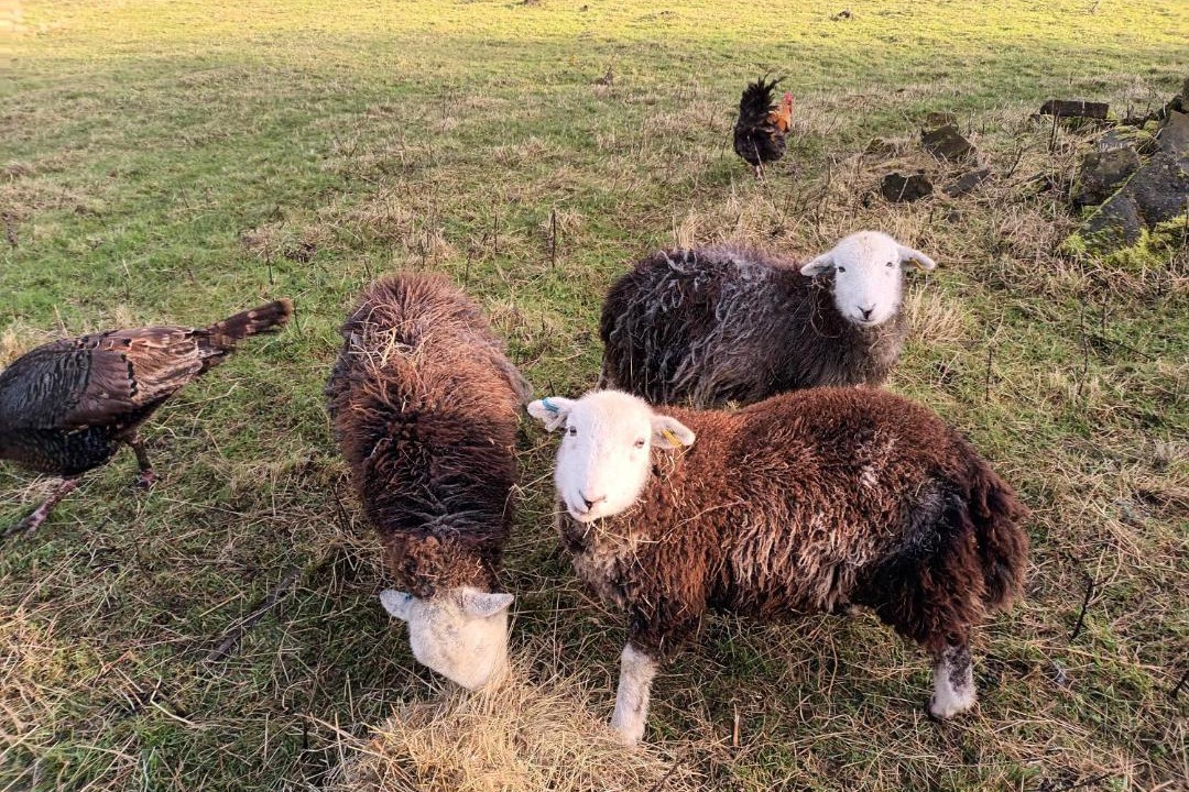 Photo of Others in Oxenhope
