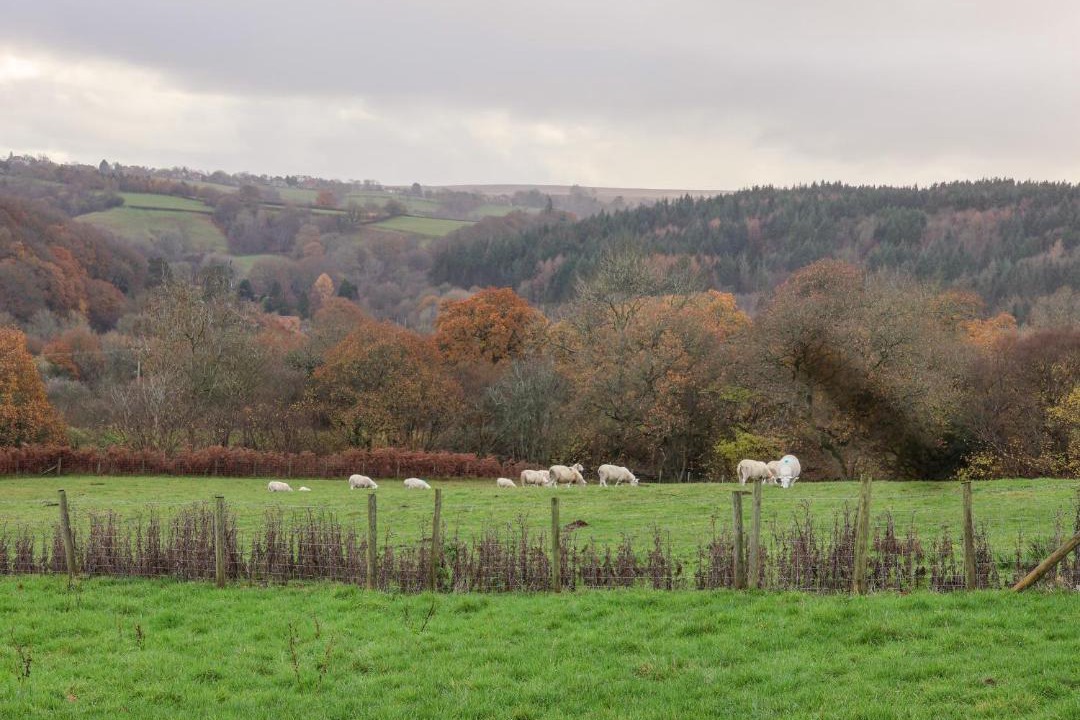 Photo of Others in Beck Hole