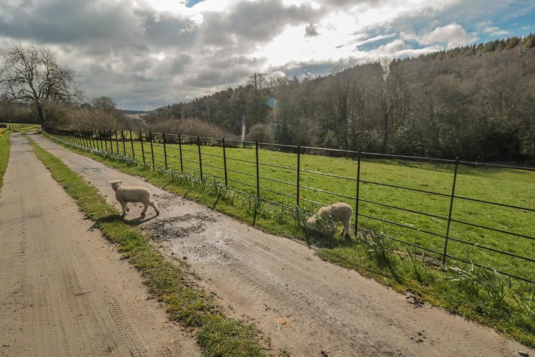 Photo of Others in North York Moors National Park