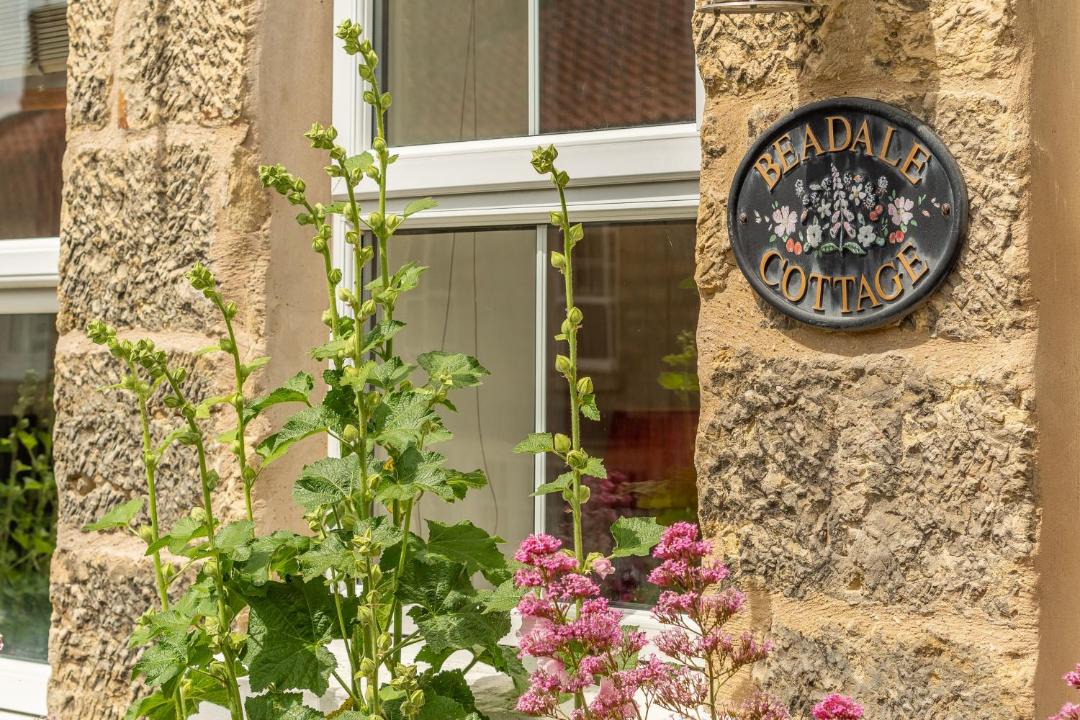 Photo of Others in Ampleforth