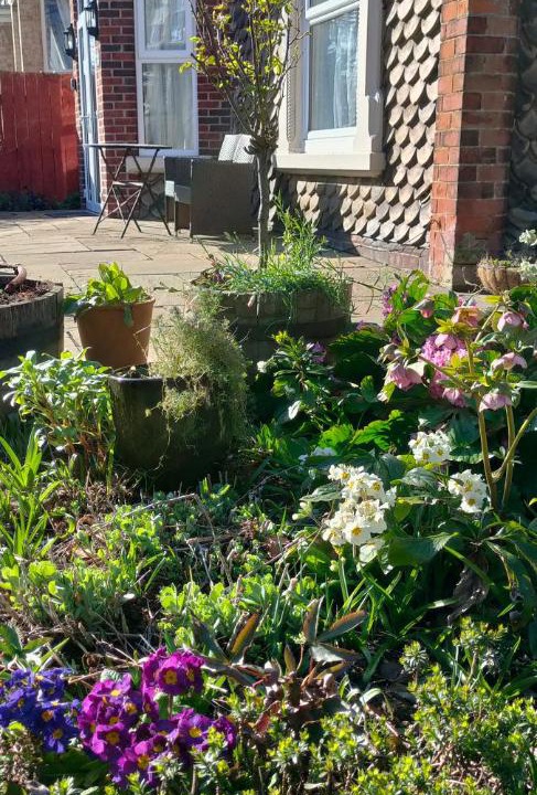 Photo of Outdoor in Hornsea