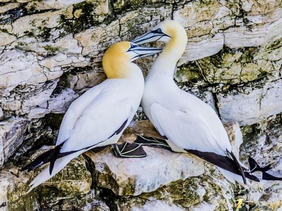 Photo of Others in Flamborough