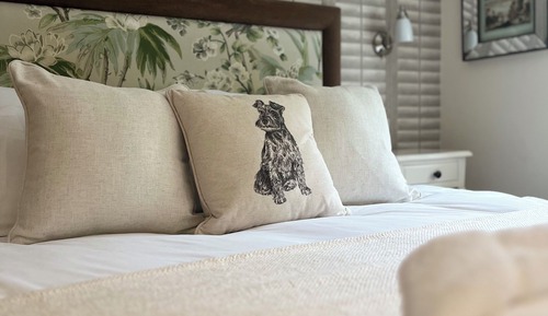 Comfortable Room