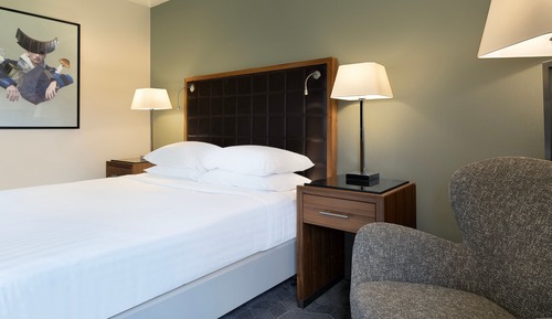Deluxe Room, 1 Double Bed