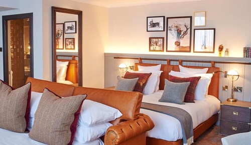 Premium Room, 1 King Bed with Sofa bed