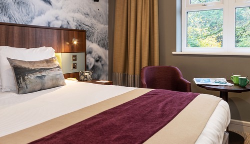 Standard Room, 1 King Bed, Non Smoking