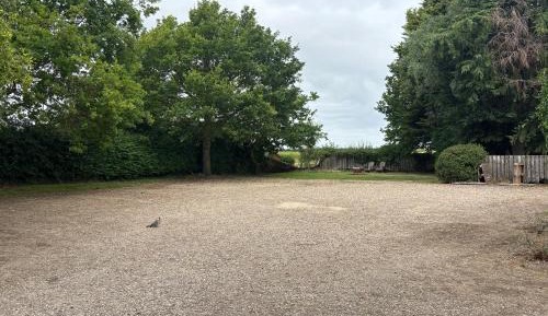 King Room with Garden View