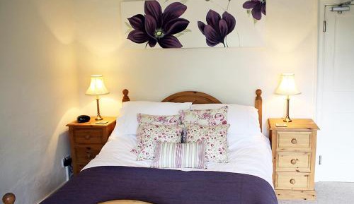 Deluxe Double Room with Shower