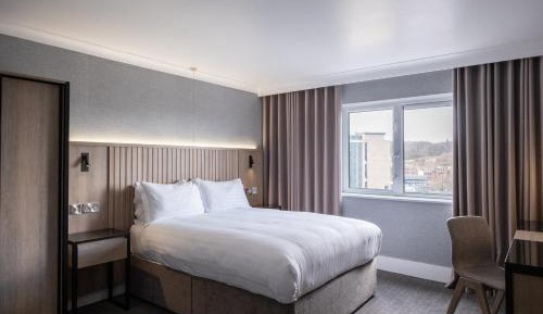 Semi-Accessible Room, 1 Double Bed