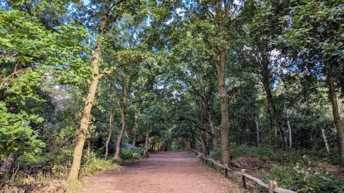 Edwinstowe House | 3 Bed Family-Friendly house at Sherwood Forest