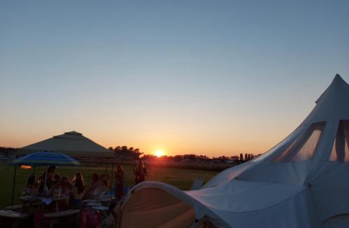 Wisbech House | Glamping with Llamas