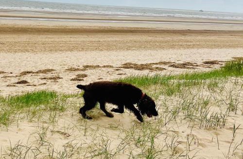Mablethorpe and Sutton House | Sea Breeze-A Beautiful 3 Bed Pet Friendly Retreat