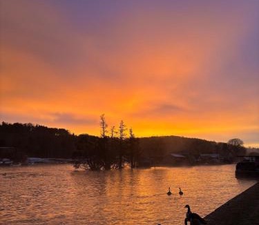 Henley House | Island Cottage in Henley-on-Thames
