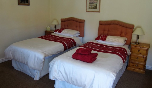 Black Swan Guest House