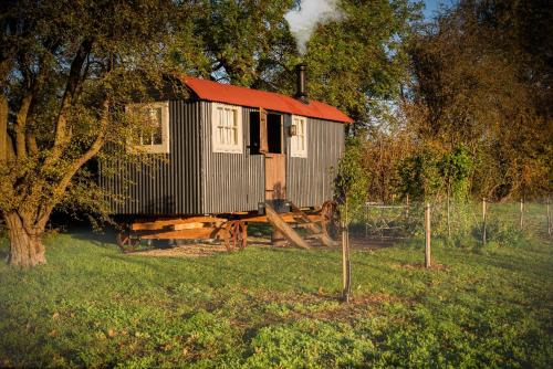 Wellbeing Orchard